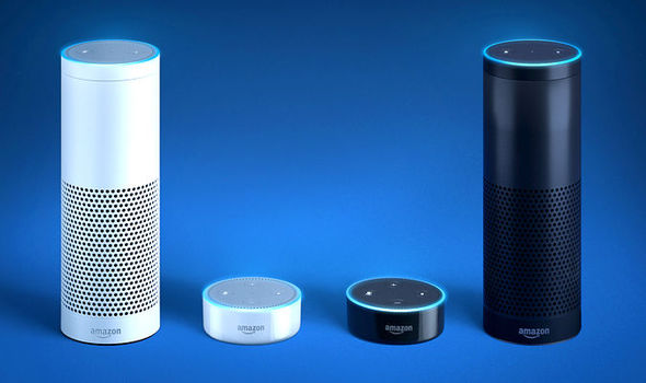 amazon echo vs. google home