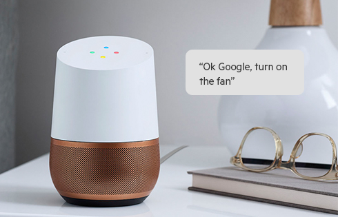 Image result for voice control google home